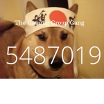 The Gaming Group Gang