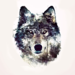 \Wolf Army/