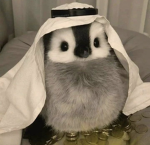Penguin Treasury