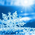 The snowflake team