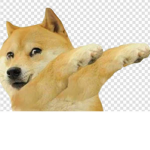 doge Old digest your night
