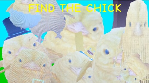 Find the chicks