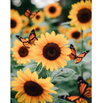 *-| Sunshine’s |-*