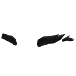 Eyebrows Roblox NoFilter