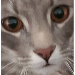 :3