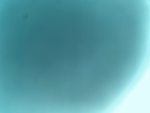 Sunsets of Roblox