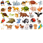 Animal Explorers and environment adventures