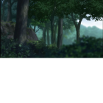 The Giant Forest