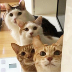 <3 Kawaii Squad <3