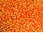 me and the bean army