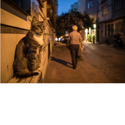 City Hangout!