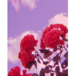 Toxicafx