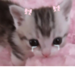 FatCat ThatSmells