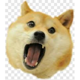 when roblox's get kinda boring