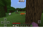 Be every mincraft animal