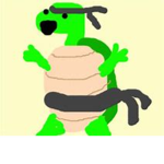 The Karate Turtles