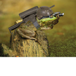 froggy army