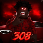 !! 308 Offical Group !!