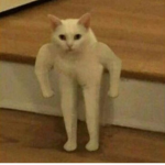 심심한 친구들