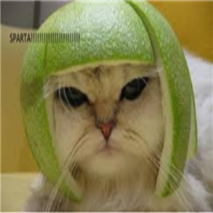 SPARTA CAT! Roblox decal