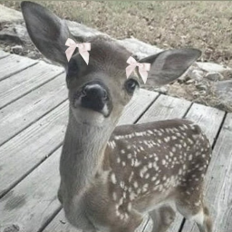 ♡