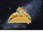 The Doge Squad Forever # Doge meme