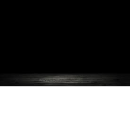 The dark..........room