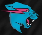 {SHOP MR BEAST}