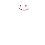 Z_003
