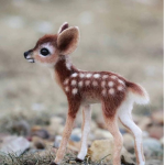 Kingdom Of The Animal's