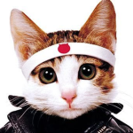 Learn Japanese !