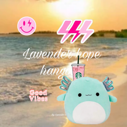 - Lavender hope Hangout -