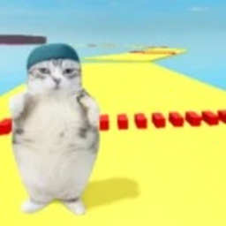 Speed Run 24 X