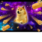 TheDogeSaveArmy