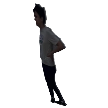 The Safeguard Legened