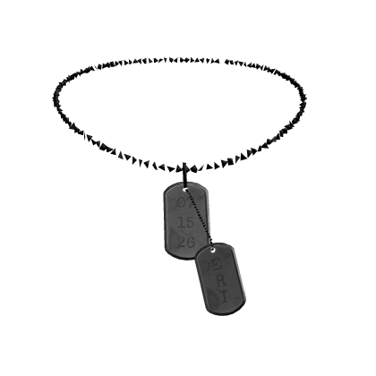 ⸝⸝ eri dogtag┆ 3.0 necklace