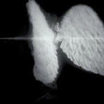 aurafied ugc Group Thumbnail