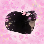 !!!THE CAT ARMY!!!