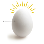 The Egg Suckers Group Thumbnail