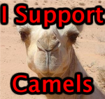 I Support Camels