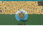 DOGE :3 :3 :3