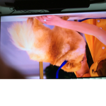Puppy AWW
