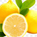 LEMON WORSHIPPERS