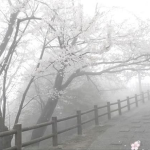 Tosen | 愛