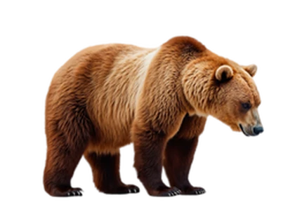 Group682943 Roblox group icon