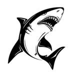 Black Shark Development