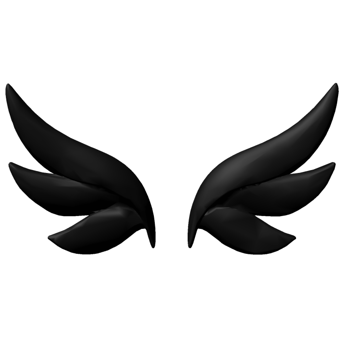 Small Black Angel Wings