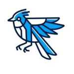 Blue_Jay_Studios