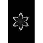 white_roblox_