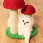 .MushroomClan.